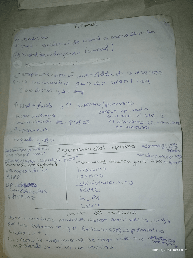 Miniatura del documento 15.jpg