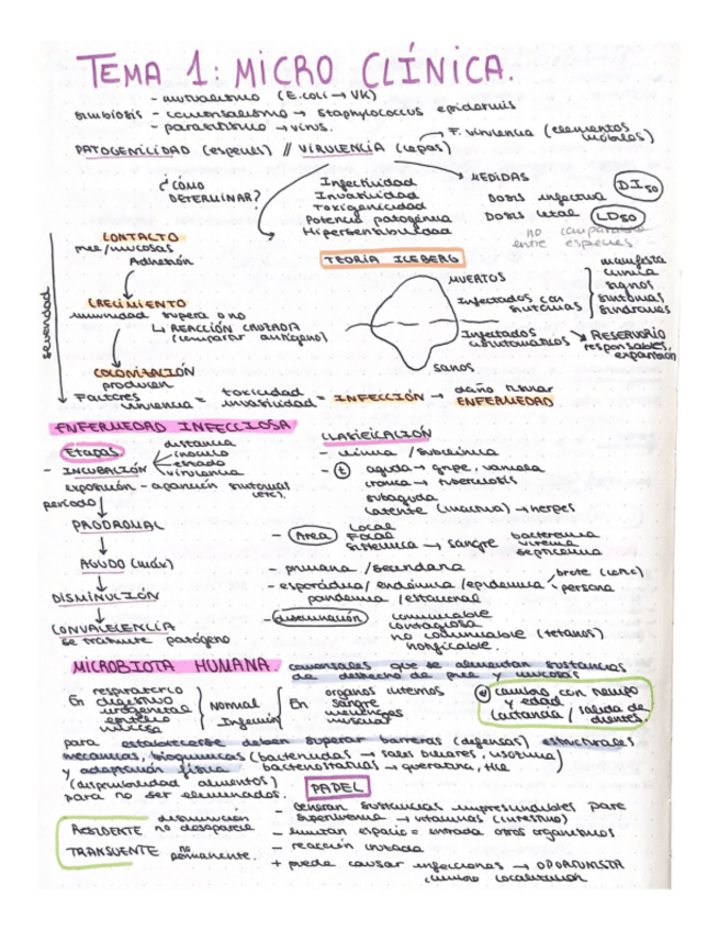 Miniatura del documento esquema-T1-micro-clinica.pdf