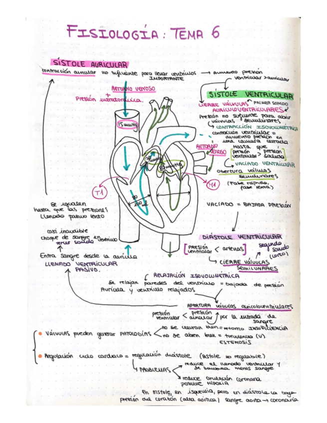 Miniatura del documento esquema-T6-fisio-ll.pdf