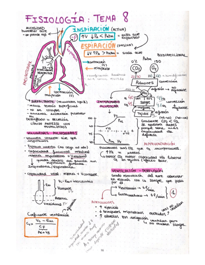 Miniatura del documento esquema-T8-fisio-ll.pdf