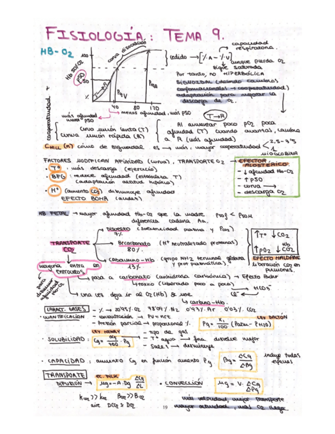 Miniatura del documento esquema-T9-fisio-ll.pdf