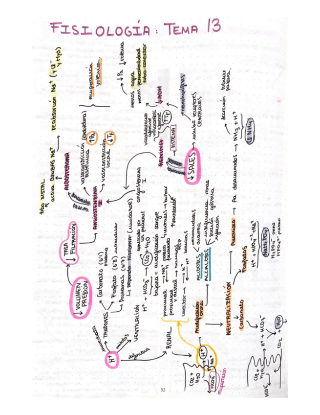 Miniatura del documento esquema-T13-fisio-ll.pdf