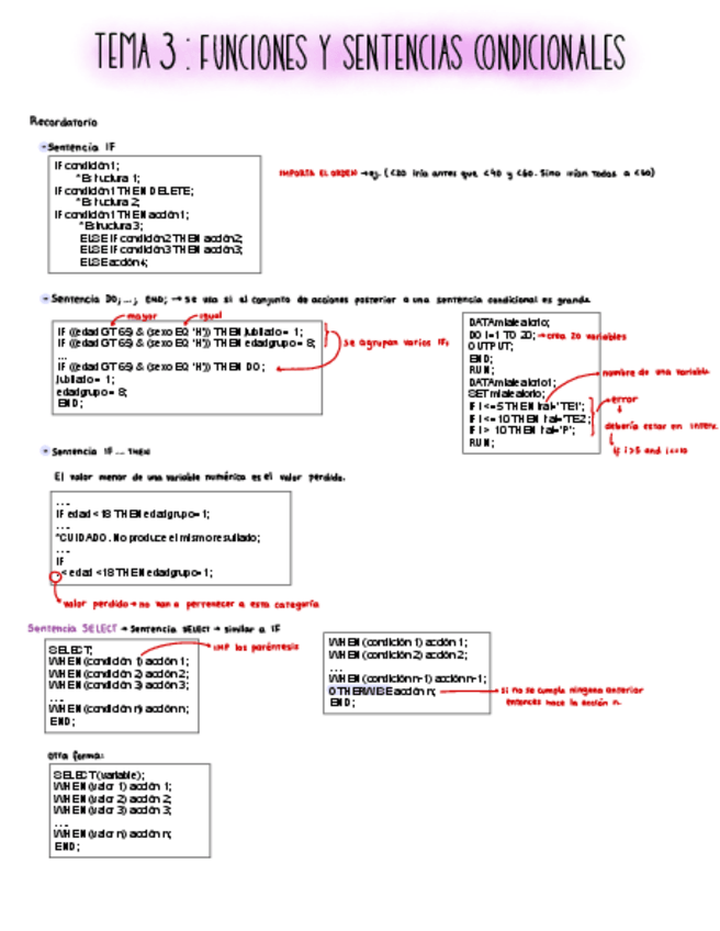 Miniatura del documento SAS-Tema-3.pdf