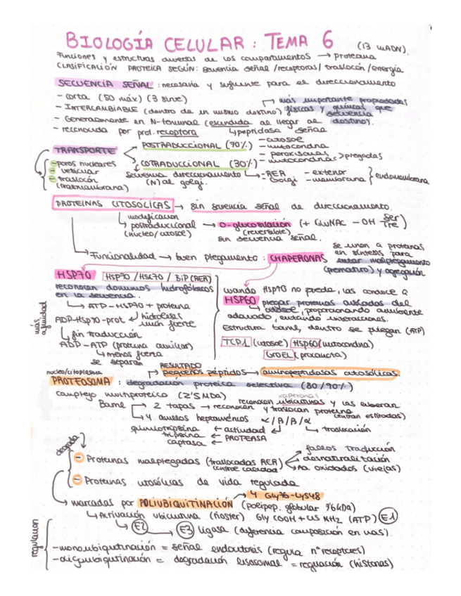 Miniatura del documento esquema-T6-biologia-celular.pdf
