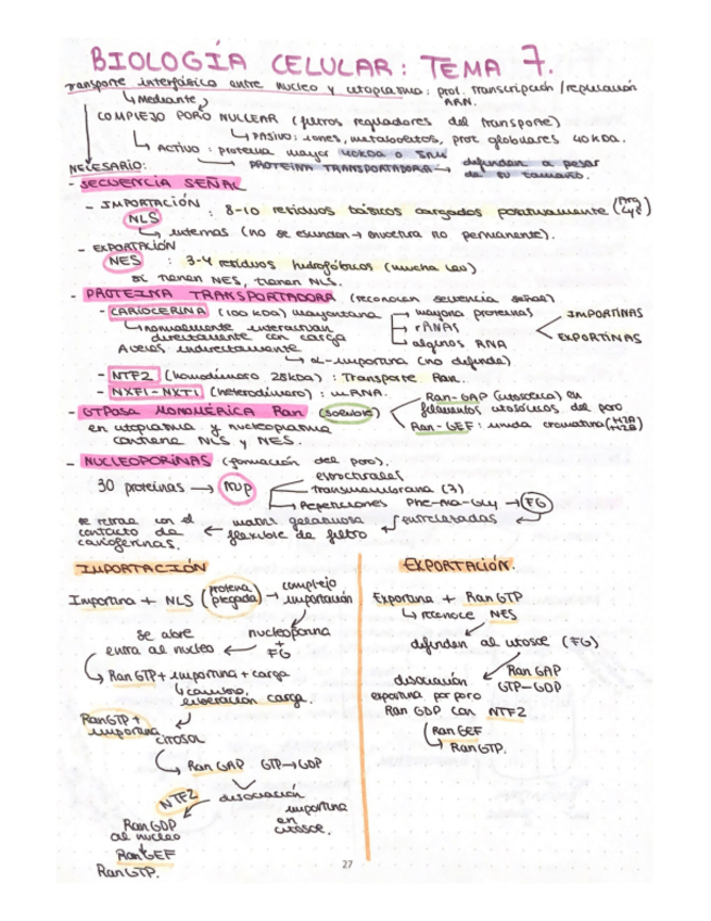 Miniatura del documento esquema-T7-biologia-celular.pdf