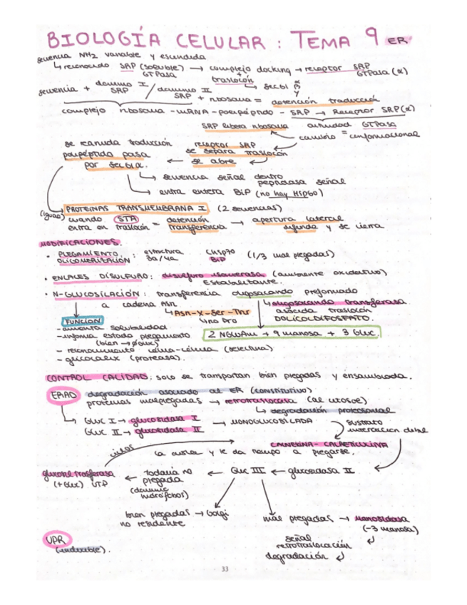 Miniatura del documento esquema-T9-biologia-celular.pdf
