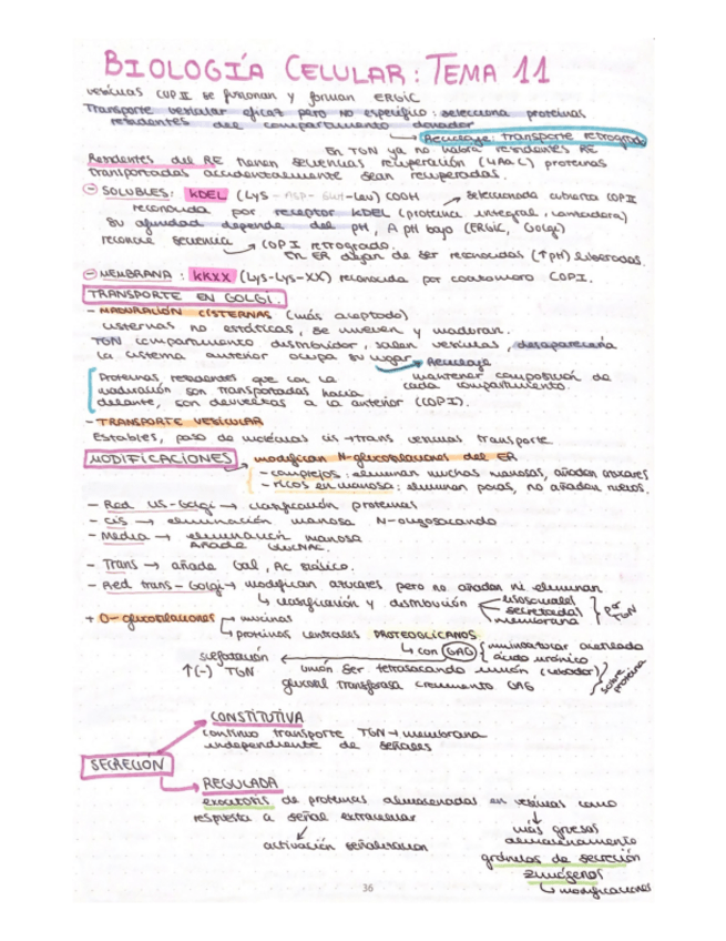Miniatura del documento esquema-T11-biologia-celular.pdf