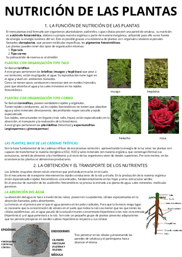 Miniatura del documento La-nutricion-de-las-plantas.pdf
