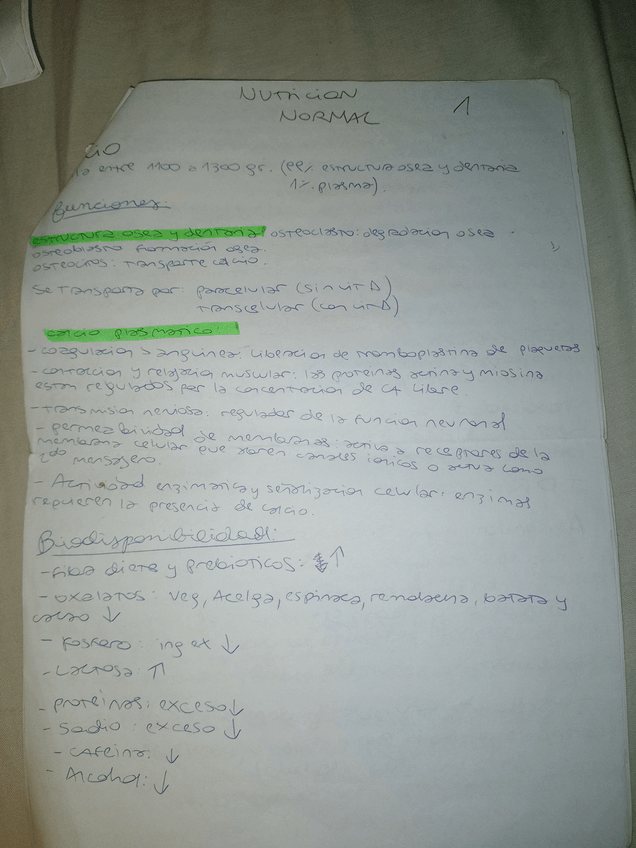 Miniatura del documento 7.jpg