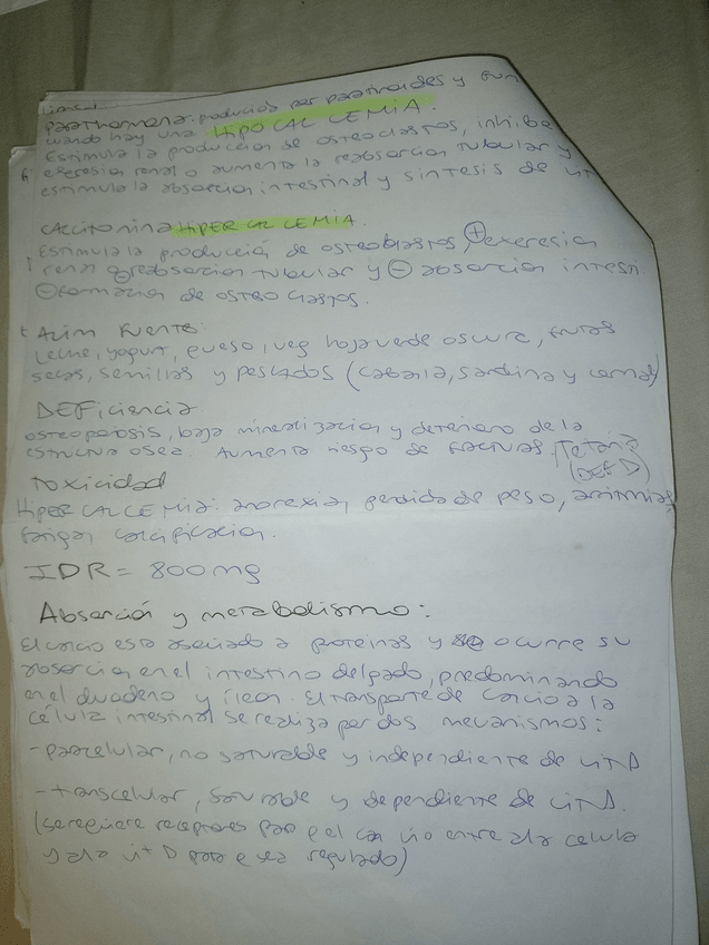 Miniatura del documento 8.jpg