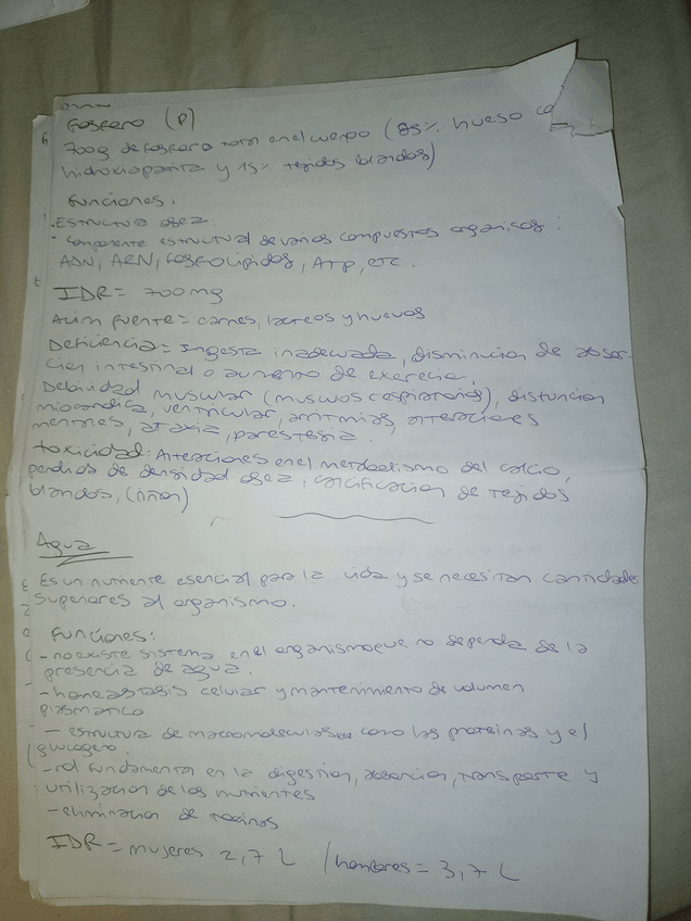 Miniatura del documento 10.jpg