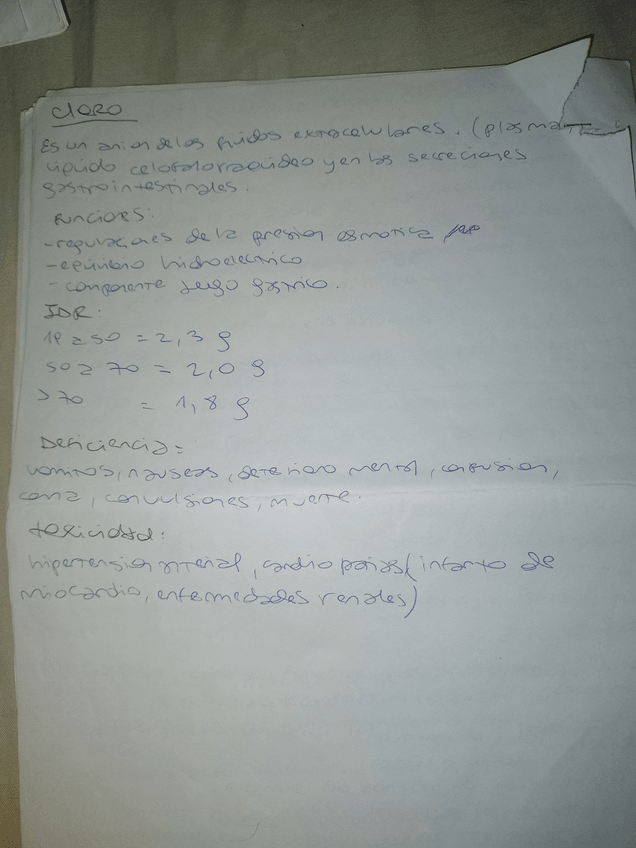 Miniatura del documento 12.jpg