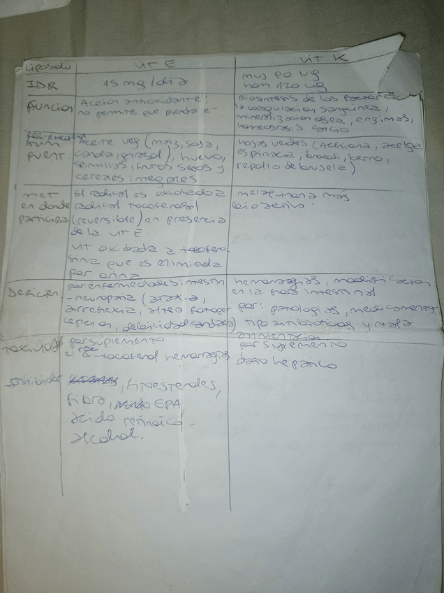 Miniatura del documento 14.jpg