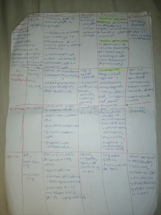 Miniatura del documento 19.jpg