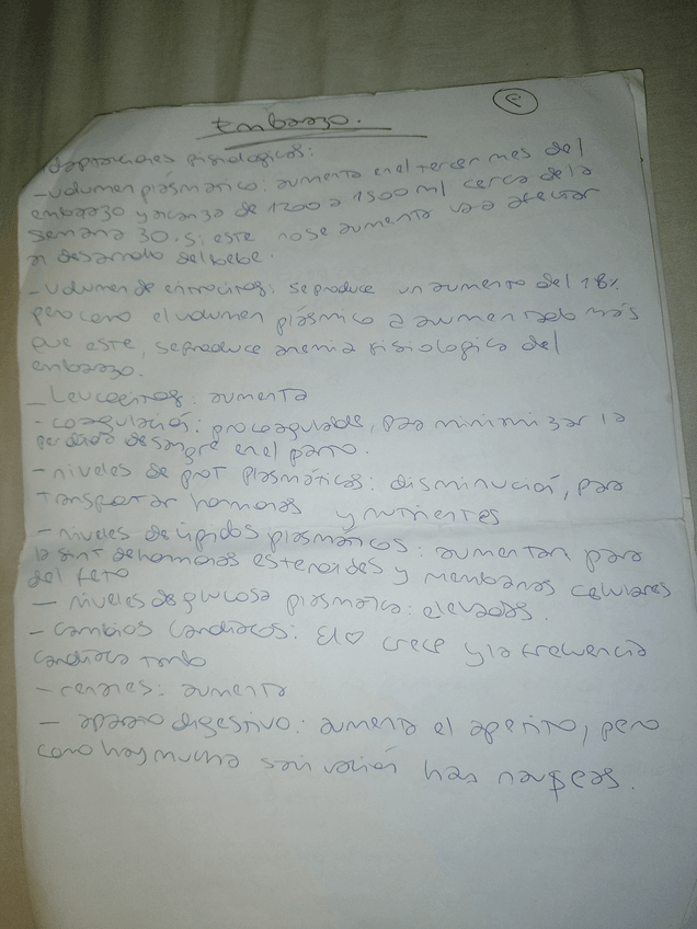 Miniatura del documento 22.jpg