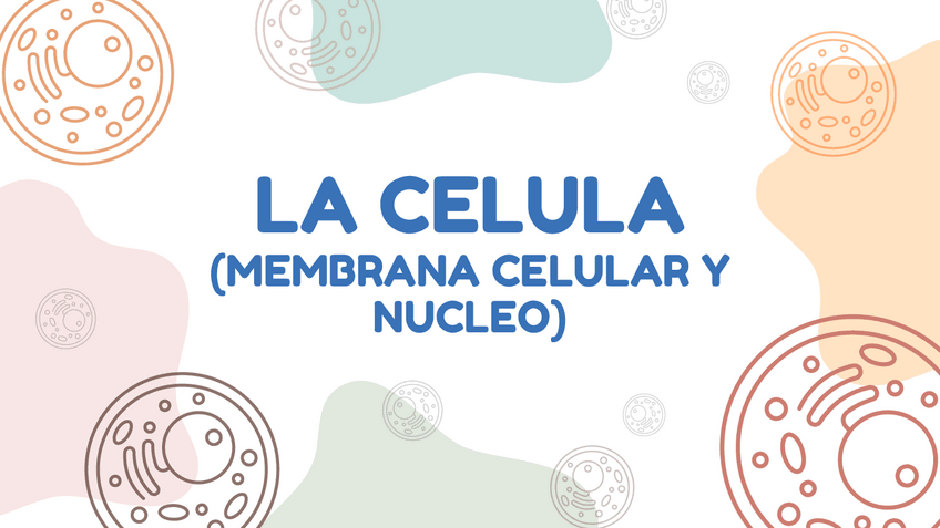 Miniatura del documento Presentacion-ciencias-naturales-la-celula-colorido-divertido-fondo-amarillo202403171125210000.pdf