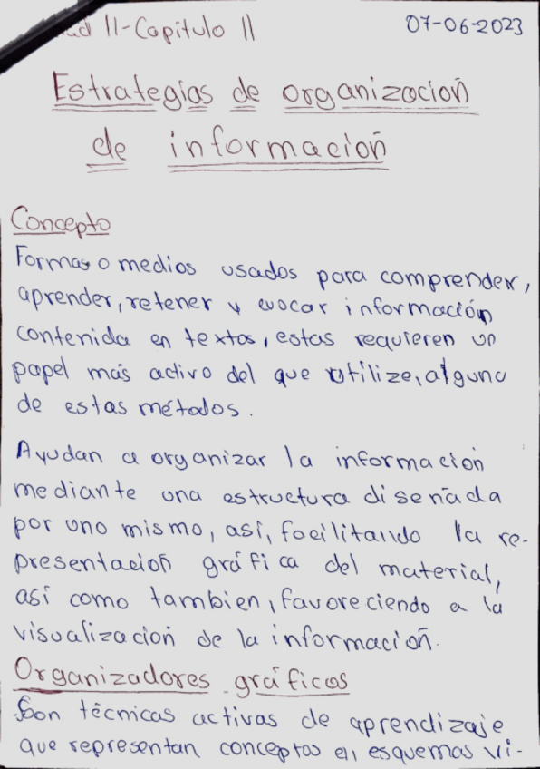 Miniatura del documento 9-Estrategias-de-Organizacion-de-Informacion-MTIU-TEORIA.pdf