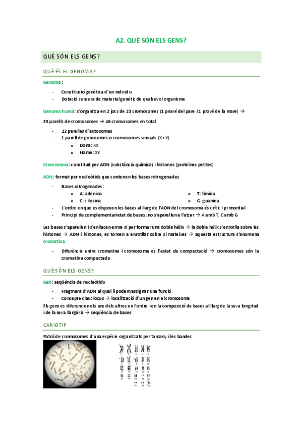 Miniatura del documento a2-que-son-els-gens.pdf