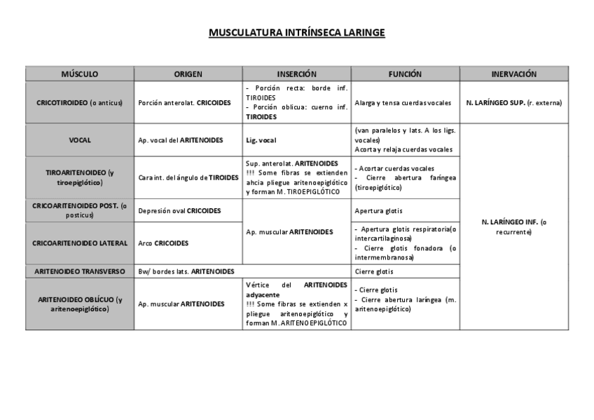 Miniatura del documento TABLA-MUSCULATURA-INTRINSECA-LARINGE.pdf