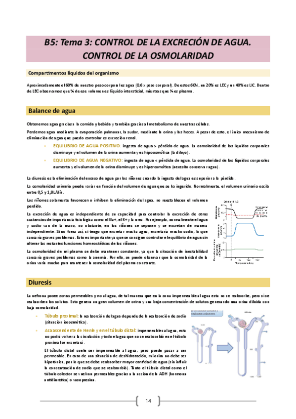Miniatura del documento Fisiologia-23-24.-Bloque-5-Tema-3.pdf