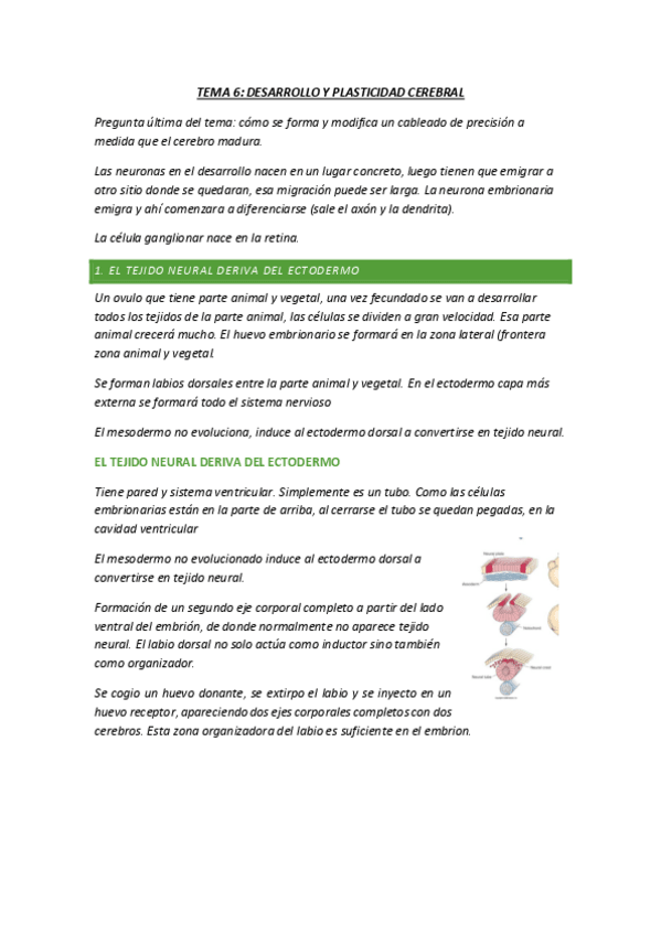 Miniatura del documento T6-FISIO.pdf