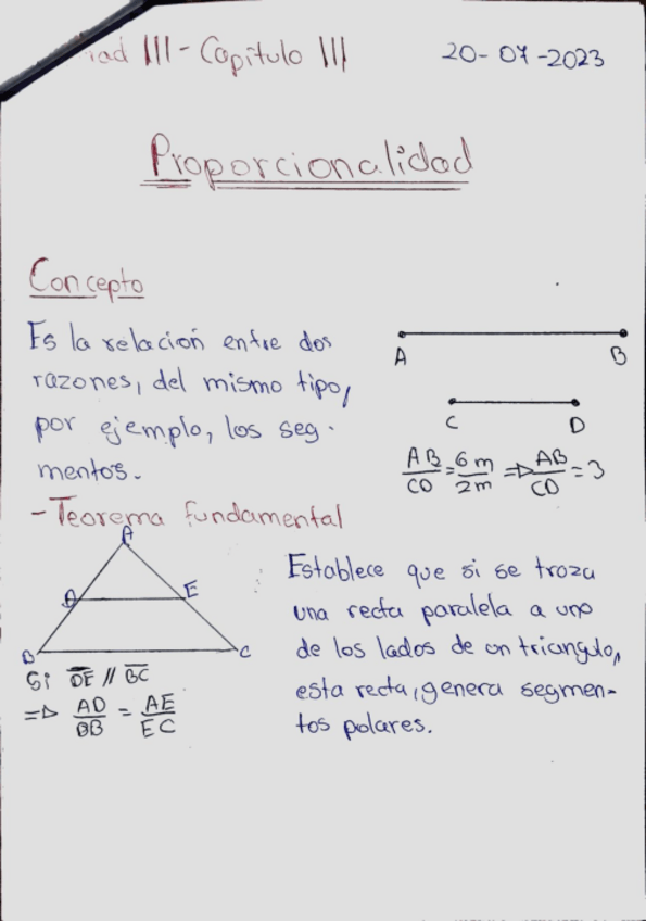 Miniatura del documento 9-Proporcionalidad-RLM-TEORIA.pdf