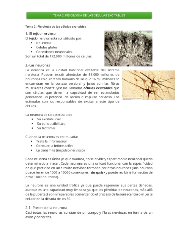 Miniatura del documento Tema-2.-Fisiologia-de-las-celulas-excitables.pdf