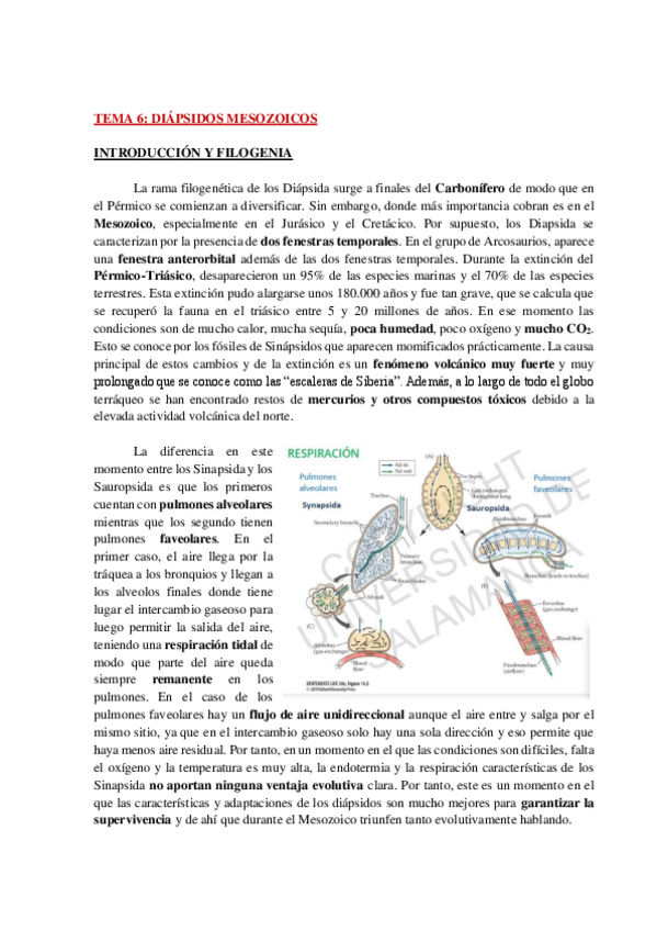 Miniatura del documento AP-FAUNA-TEMA-6-WH.pdf