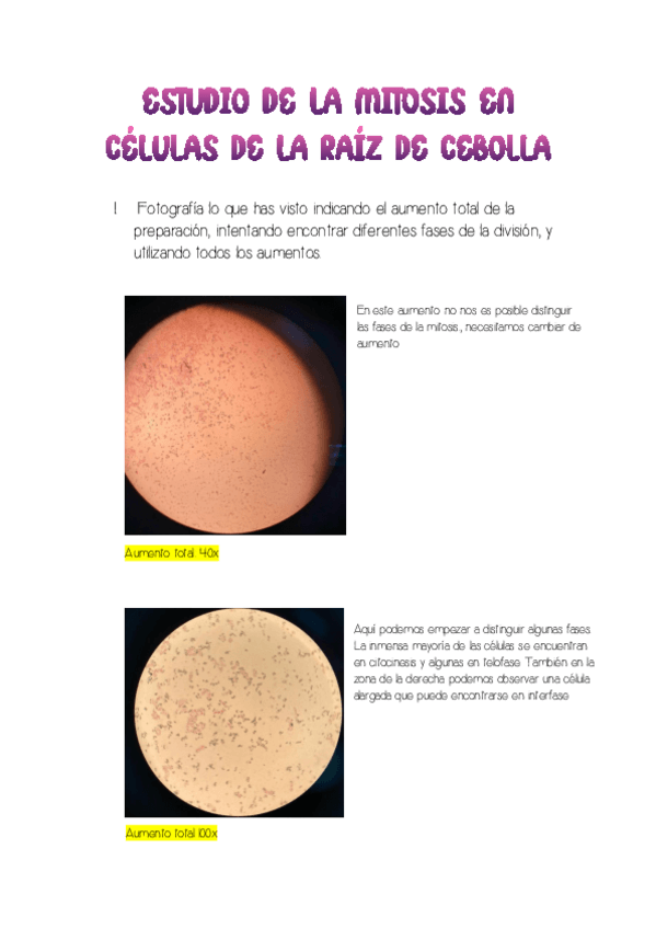 Miniatura del documento Mitosis-de-la-cebolla.pdf