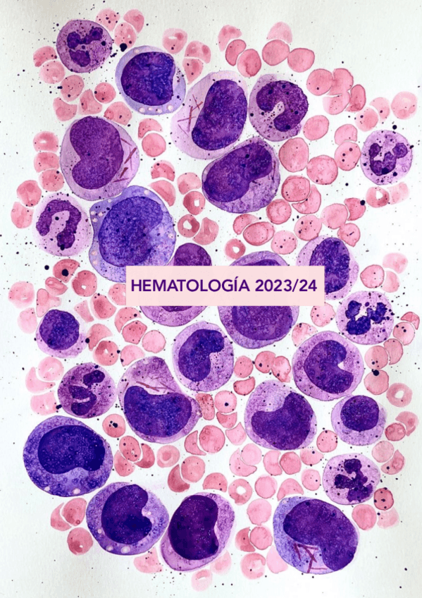 Miniatura del documento Apuntes Hematología 2023/24.pdf