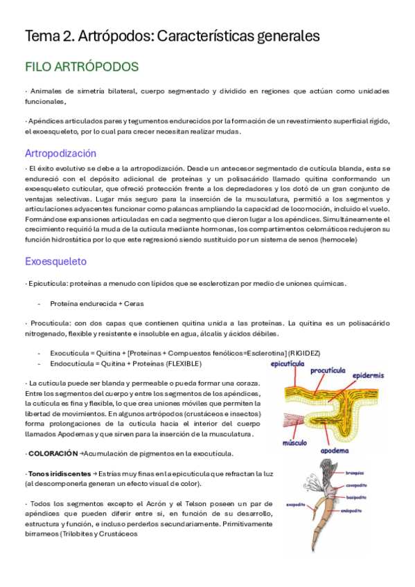 Miniatura del documento TEMA-2-ZOO-II.pdf