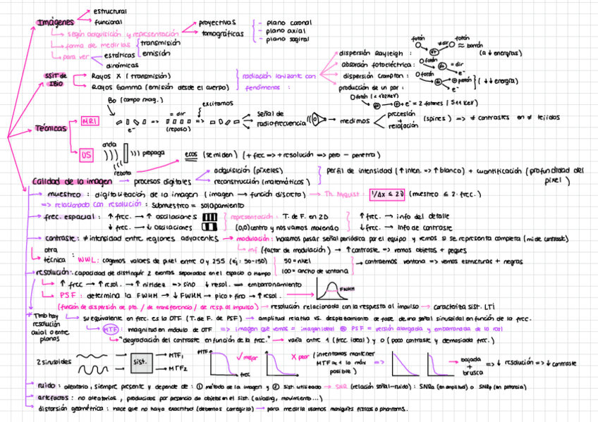 Miniatura del documento Resumen-Tema-1-IBIO.pdf