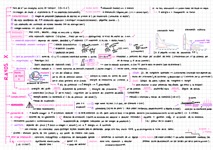 Miniatura del documento Resumen-Tema-2-IBIO.pdf