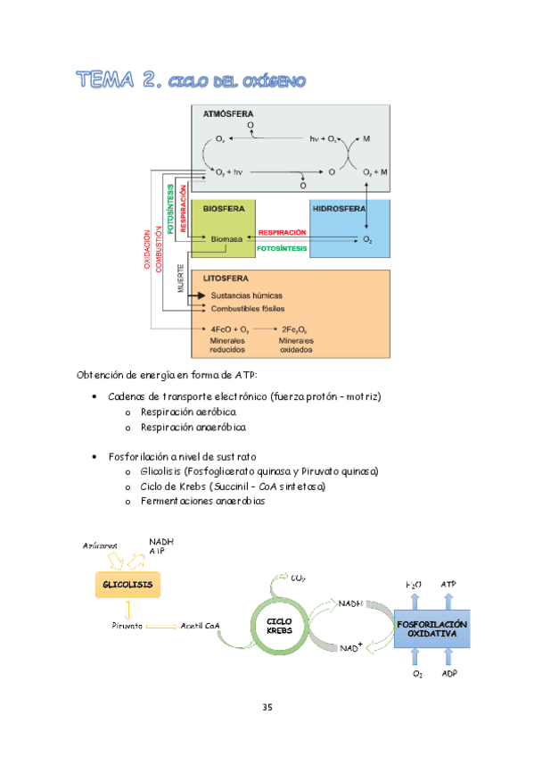 Miniatura del documento TEMA 2.pdf
