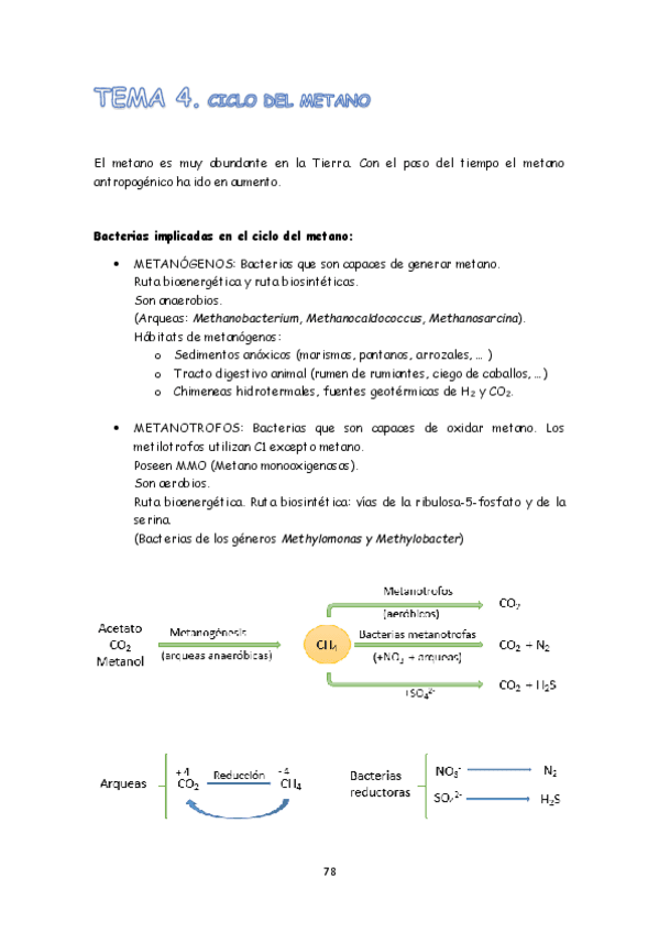 Miniatura del documento TEMA 4.pdf