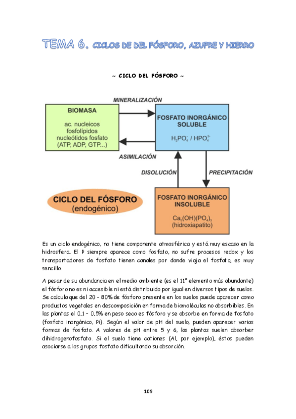 Miniatura del documento TEMA 6.pdf