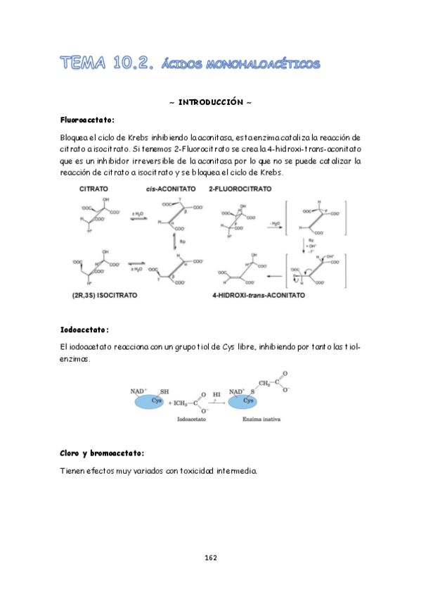 Miniatura del documento TEMA 10.2.pdf