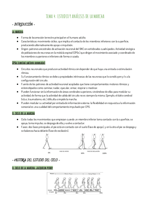 Miniatura del documento RESUMEN-T4.pdf