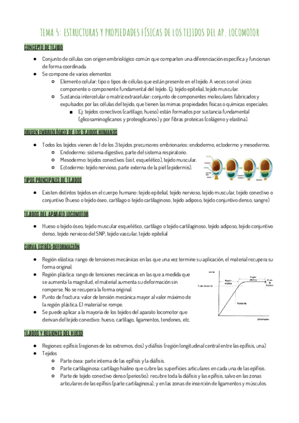 Miniatura del documento RESUMEN-T5.pdf