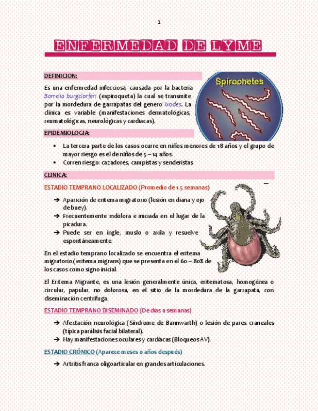 Miniatura del documento ENFERMEDAD-DE-LYME.pdf