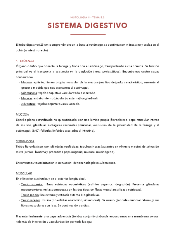 Miniatura del documento TEMA-5.2-SISTEMA-DIGESTIVO.pdf