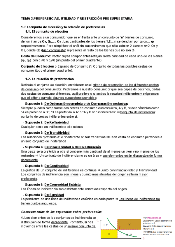 Miniatura del documento TEMA-3.PREFERENCIAS-UTILIDAD-Y-RESTRICCION-PRESUPUESTARIA.pdf