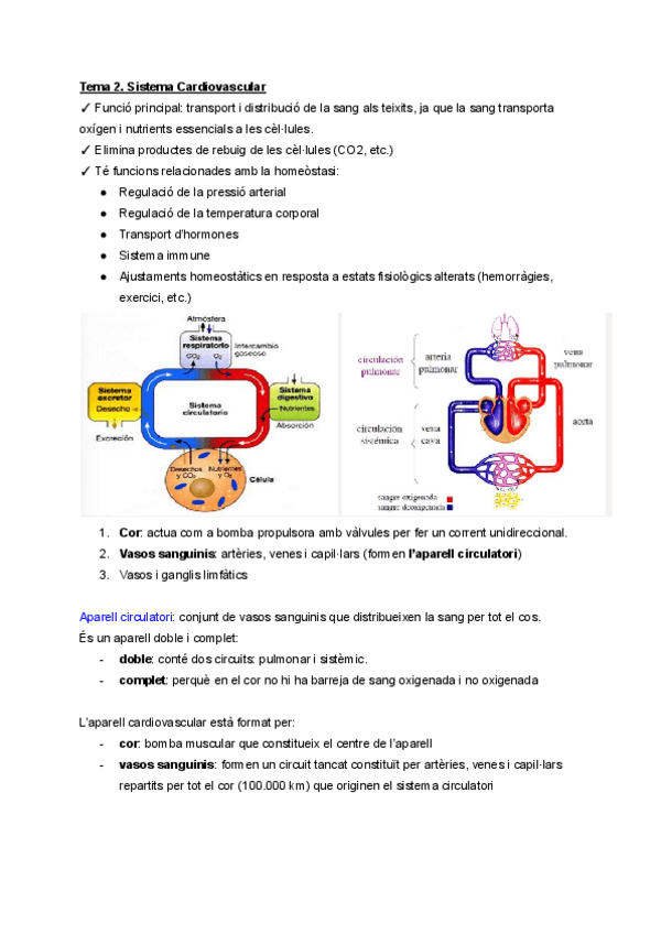 Miniatura del documento Tema-2.-Sistema-Cardiovascular.pdf
