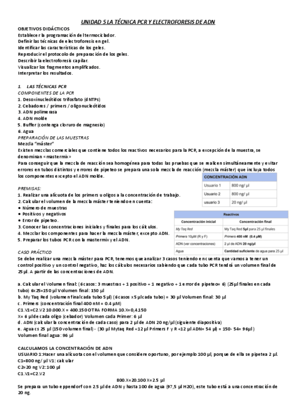 Miniatura del documento UNIDAD-5-TECNICA-PCR.pdf