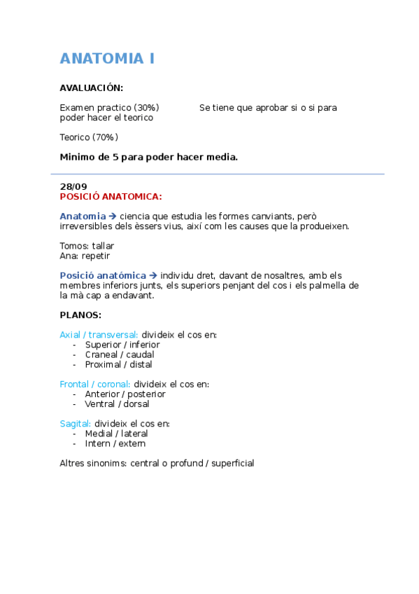 Miniatura del documento ANATOMIA-I-SUPERIOR.docx