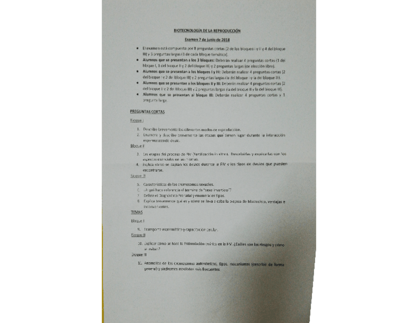 Miniatura del documento final BREP.pdf