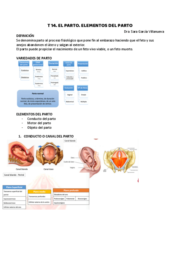 Miniatura del documento T-14.-El-parto.-Elementos-del-parto.pdf
