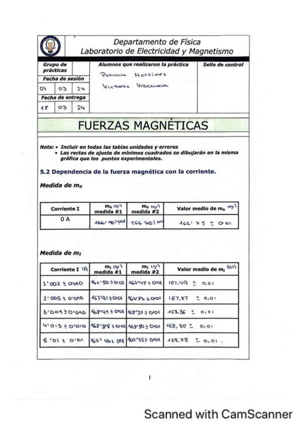 Miniatura del documento fuerzas-magneticas.pdf