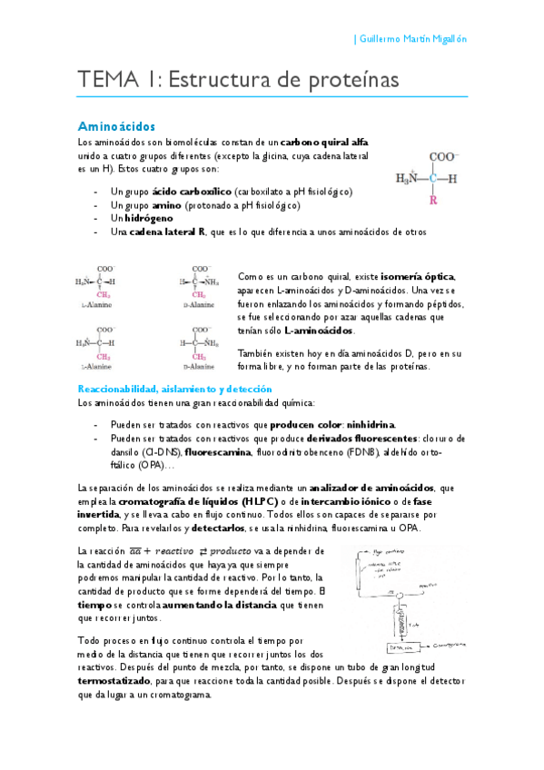 Miniatura del documento TEMA 1. Estructura de proteínas.pdf