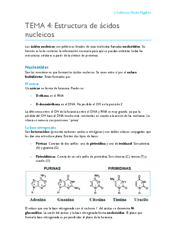 Miniatura del documento TEMA 4. Estructura de ácidos nucleicos.pdf